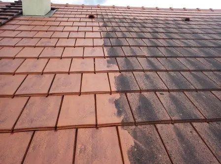 Nettoyage de toiture démoussage Nonancourt 27320 Eure